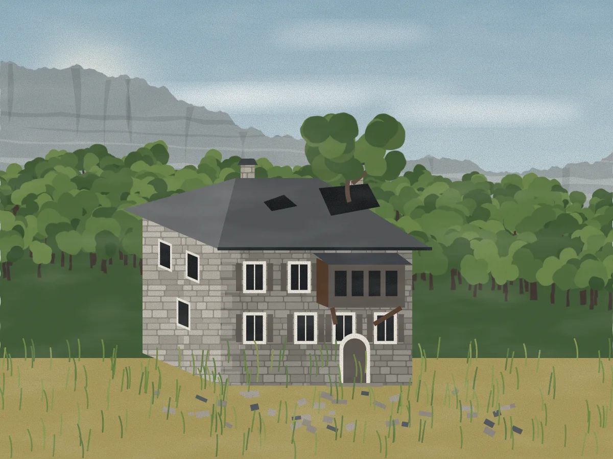 The house in 2013: roof fallen in, slates on the ground, a fig tree growing through the upper floor, long grass